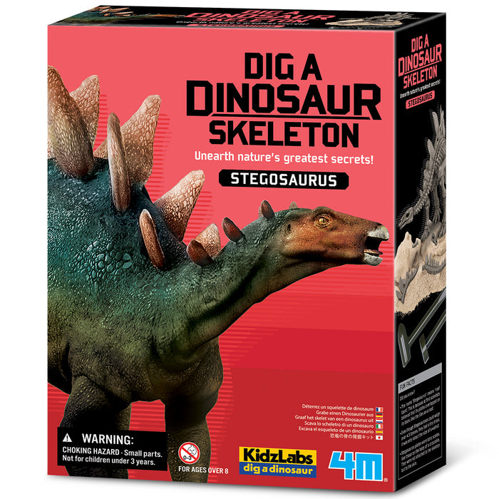 4M Dig A Stegosaurus Skeleton