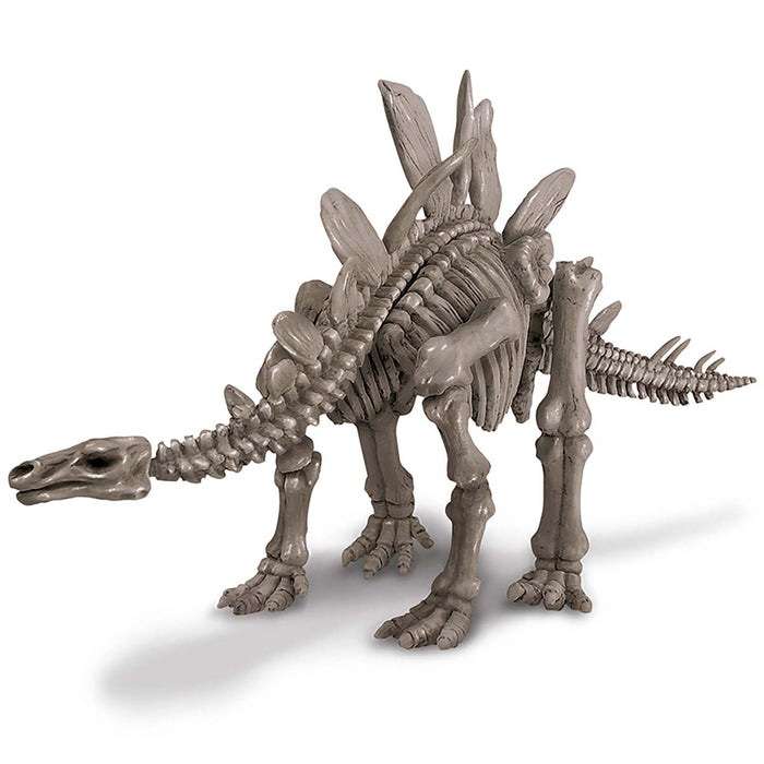 Dig A Stegosaurus Skeleton