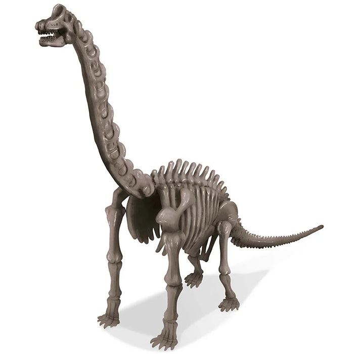 Dig A Brachiosaurus Skeleton - LX2001 - Homewares, Outdoor, Phone Accessories, Cases, Speakers, Headphones + More -
