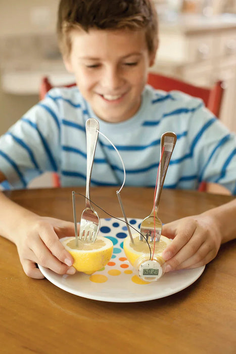 Lemon Clock - LX2001 - Homewares, Outdoor, Phone Accessories, Cases, Speakers, Headphones + More -