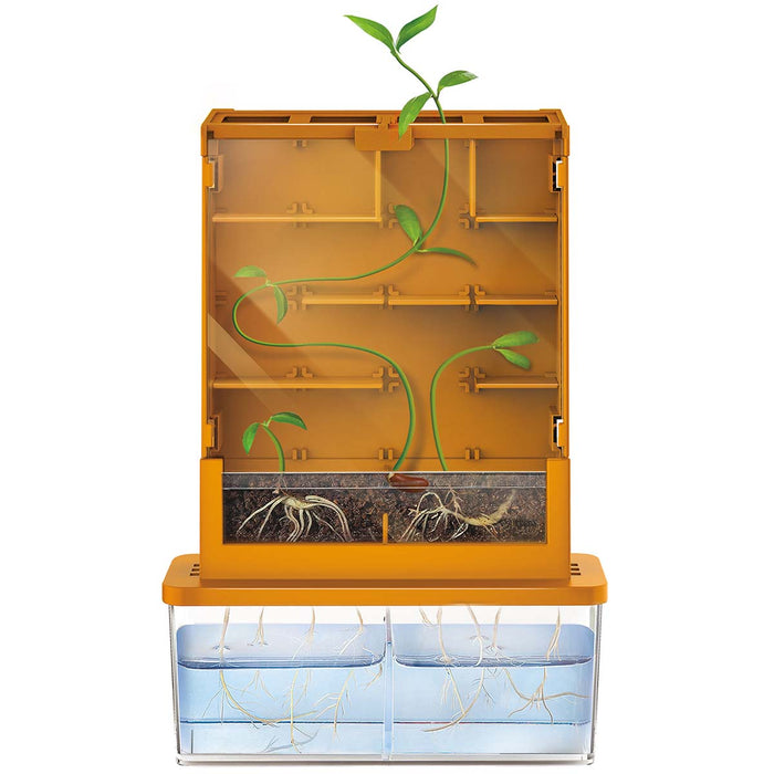 4M Grow-A-Maze