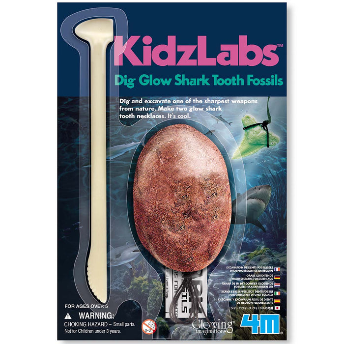 4M Dig a Glow Shark Tooth
