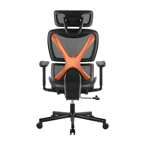 BRATECK SpineX Ergonomic Office Chair with Posture Enhancement. Human Engineerin - LX2001 - Homewares, Outdoor, Phone Accessories, Cases, Speakers, Headphones + More -