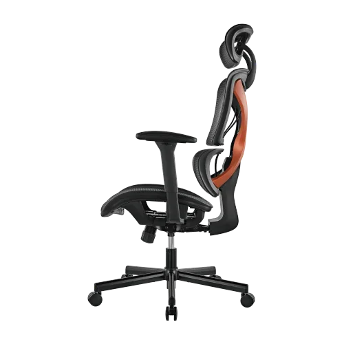 BRATECK SpineX Ergonomic Office Chair with Posture Enhancement. Human Engineerin - LX2001 - Homewares, Outdoor, Phone Accessories, Cases, Speakers, Headphones + More -