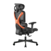 BRATECK SpineX Ergonomic Office Chair with Posture Enhancement. Human Engineerin - LX2001 - Homewares, Outdoor, Phone Accessories, Cases, Speakers, Headphones + More -