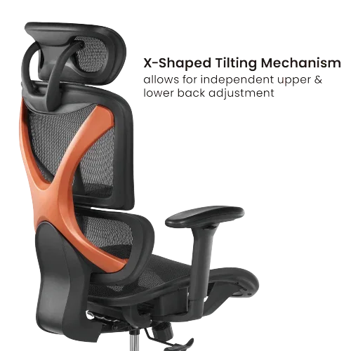 BRATECK SpineX Ergonomic Office Chair with Posture Enhancement. Human Engineerin - LX2001 - Homewares, Outdoor, Phone Accessories, Cases, Speakers, Headphones + More -