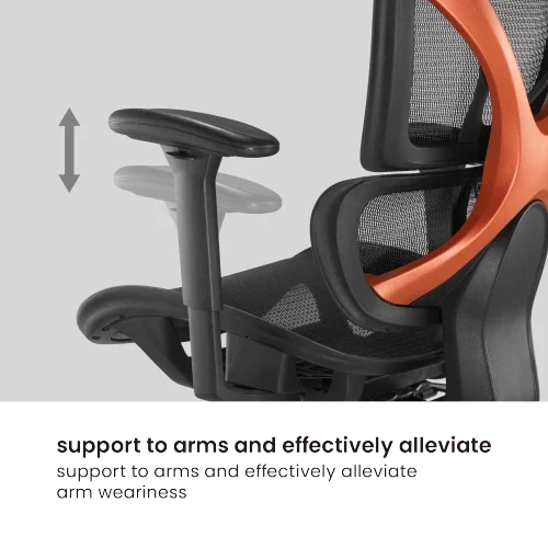BRATECK SpineX Ergonomic Office Chair with Posture Enhancement. Human Engineerin - LX2001 - Homewares, Outdoor, Phone Accessories, Cases, Speakers, Headphones + More -