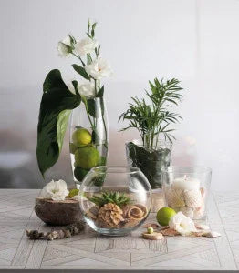 Pasabahce Glass Botanic Vase 26Cm - LX2001 - Homewares, Outdoor, Phone Accessories, Cases, Speakers, Headphones + More -