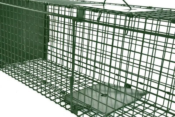 Trap Cage (80x28x33cm) ferral cats, ferrets, stoats, rabbits