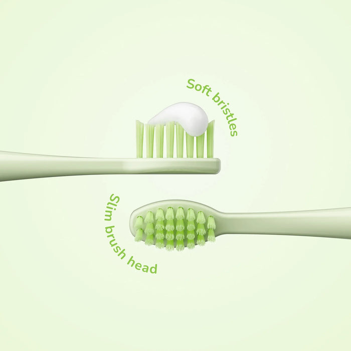 Ordo Sonic Battery Toothbrush Squishmallows Rutabaga - LX2001 - Homewares, Outdoor, Phone Accessories, Cases, Speakers, Headphones + More -