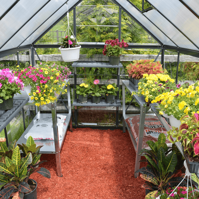 Maze Hybrid 6' X 10' Greenhouse - Charcoal