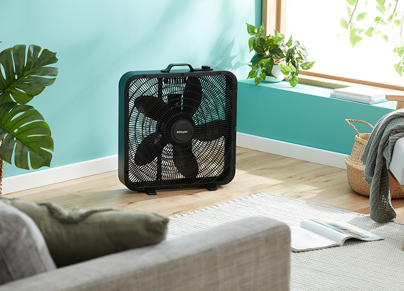 Dimplex 50cm Box Fan with Handle