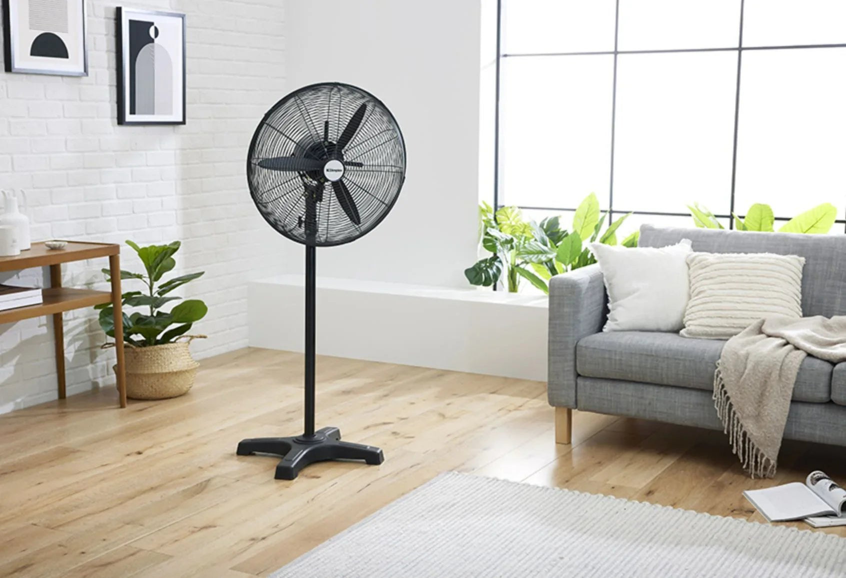 Dimplex 50cm High Velocity Pedestal Fan DCPF50MBK — LX2001 - Homewares ...