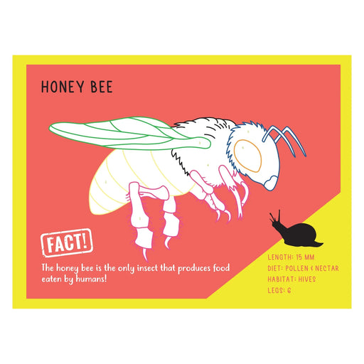 So You Think â€¦ Expert Creepy Crawlies - LX2001 - Homewares, Outdoor, Phone Accessories, Cases, Speakers, Headphones + More -