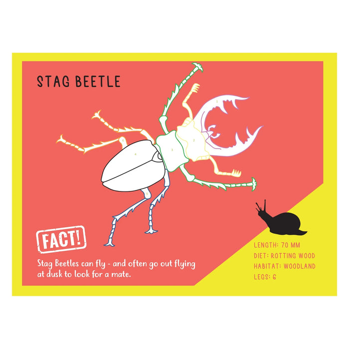 So You Think â€¦ Expert Creepy Crawlies - LX2001 - Homewares, Outdoor, Phone Accessories, Cases, Speakers, Headphones + More -