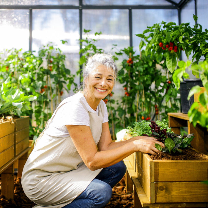 Maze Greenhouse Glory
