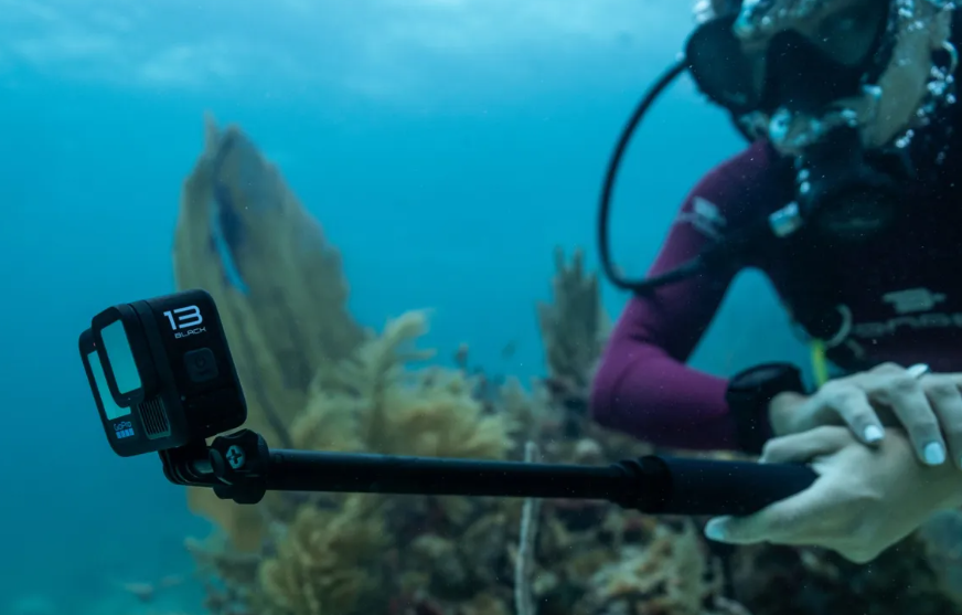 GoPro 4ft (1.2m) Extension Pole