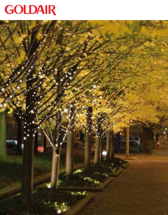 Goldair Solar LED 4 Branch Garden Light Multi Colour - 2M / 2 Meter Length GCLS200M