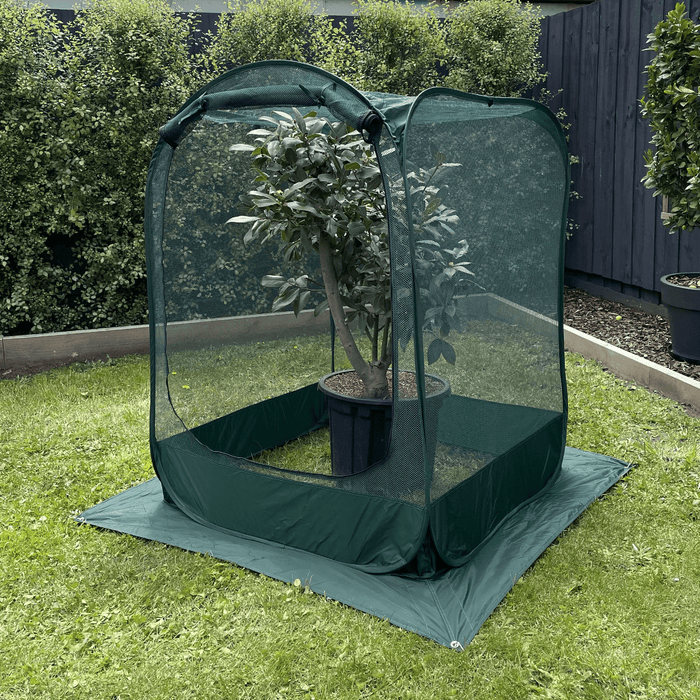 Maze Net Cover (1X1X1.25M) ESNC1002