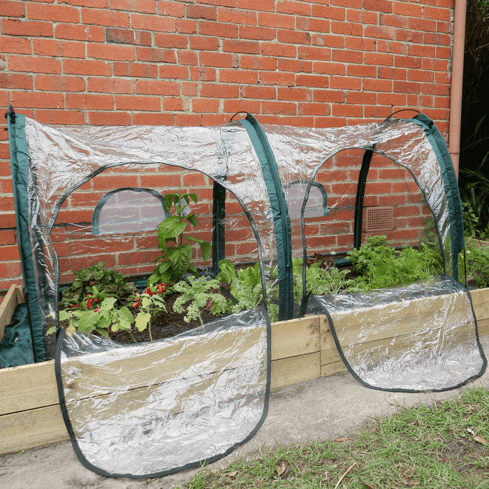 Maze 2m POLY Garden Tunnel