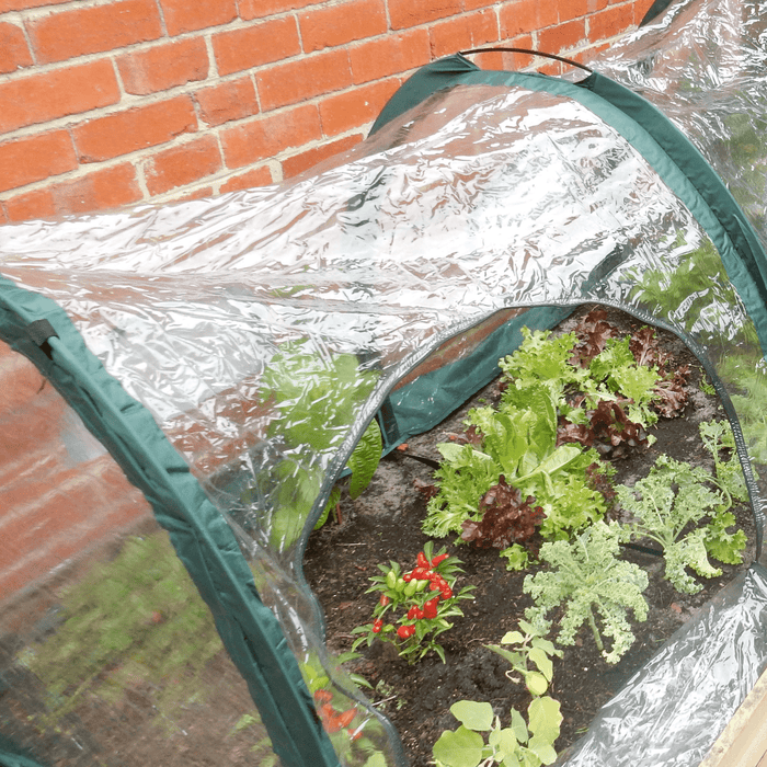 Maze 3m POLY Garden Tunnel