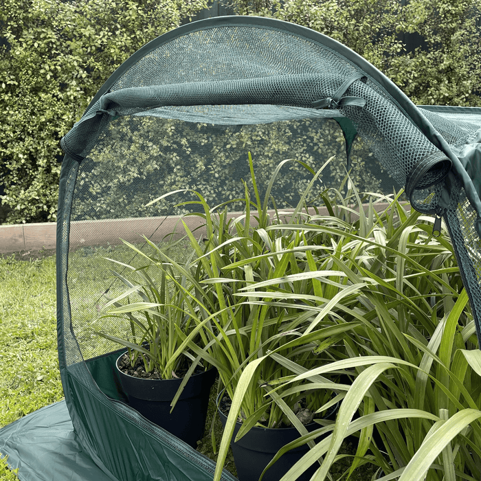 Maze Net Cover (1.25X1.25X0.92M) ESNC1251