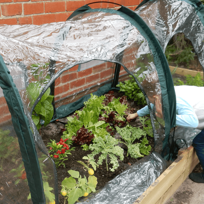 Maze 3m POLY Garden Tunnel