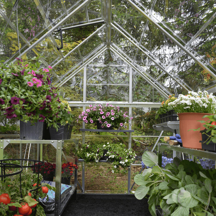 Maze 6' X 10' Greenhouse - Harmony