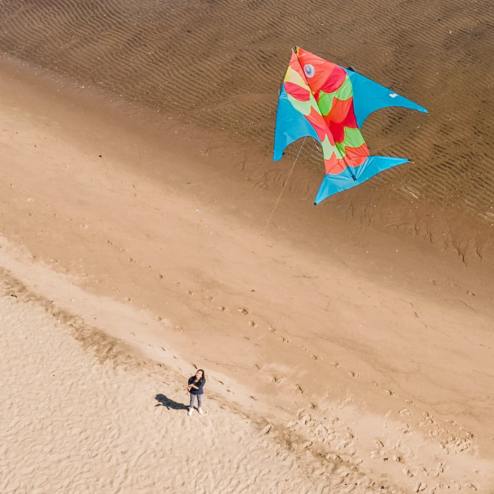 Flying Fish Kite 40200 - LX2001 - Homewares, Outdoor, Phone Accessories, Cases, Speakers, Headphones + More -