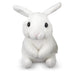 Baby Bunny Hops (CDU16) - LX2001 - Homewares, Outdoor, Phone Accessories, Cases, Speakers, Headphones + More -