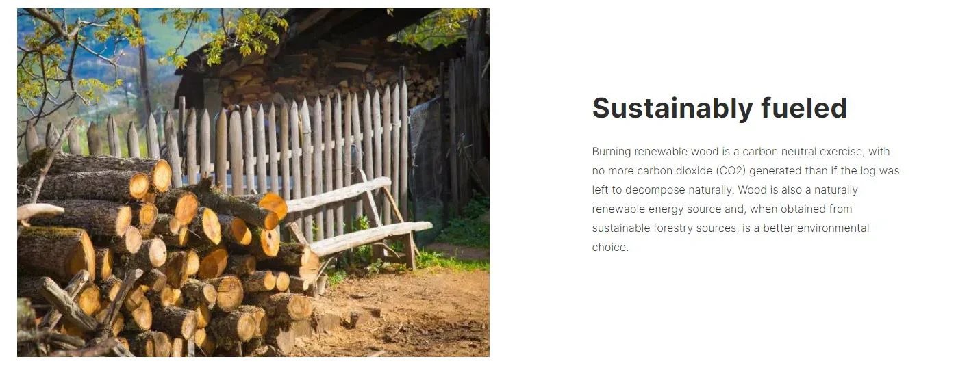 Masport Akaroa Fireplace Freestanding radiant wood fire with Ash Pan - LX2001 - Homewares, Outdoor, Phone Accessories, Cases, Speakers, Headphones + More -