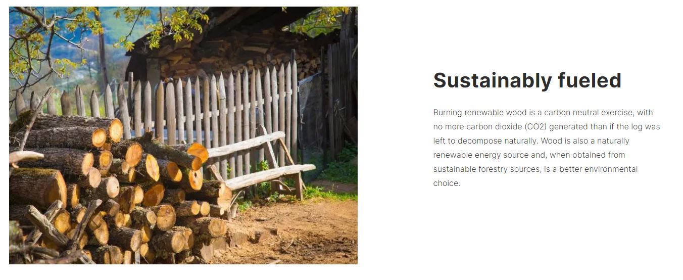 Masport Osburn 1600 Fireplace Wood Fire Pedestal w Ash Pan + Flue + Wet Back