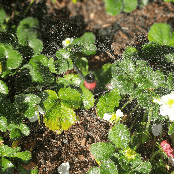 Maze 40 X Micro Sprayers With 25M Polytube Kit