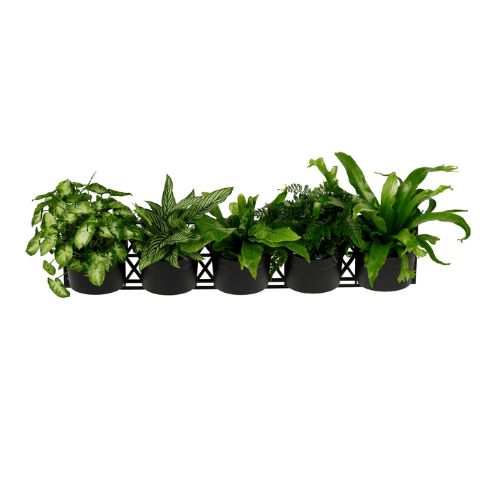 Maze 5 Pot Vertical Garden