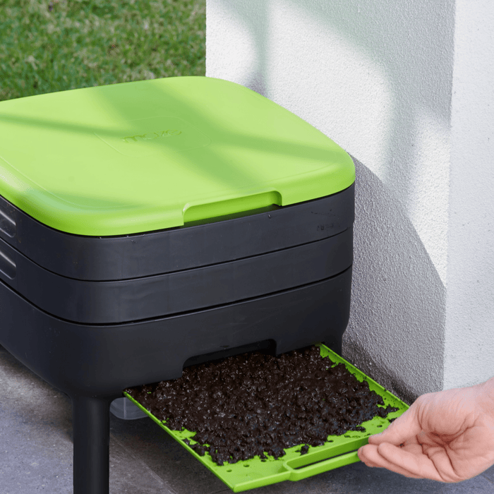 Maze Worm Farm with Legs