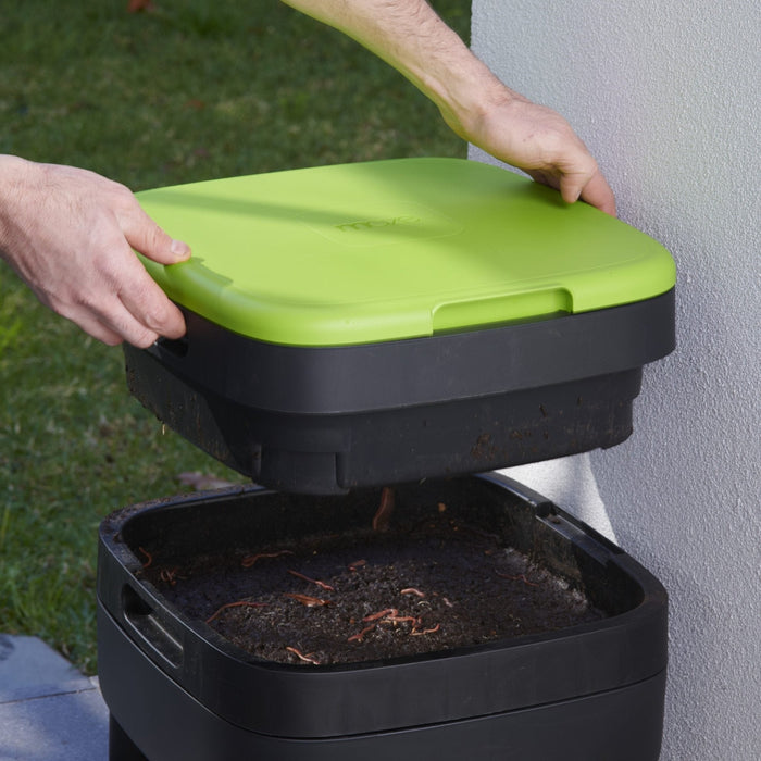 Maze Worm Farm with Legs