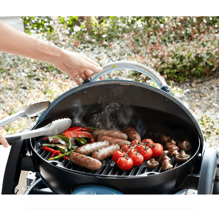 Ziggy Ziegler & Brown Classic 1B 1 Burner Grill LPG BBQ - Gunmetal Grey - LX2001 - Homewares, Outdoor, Phone Accessories, Cases, Speakers, Headphones + More -