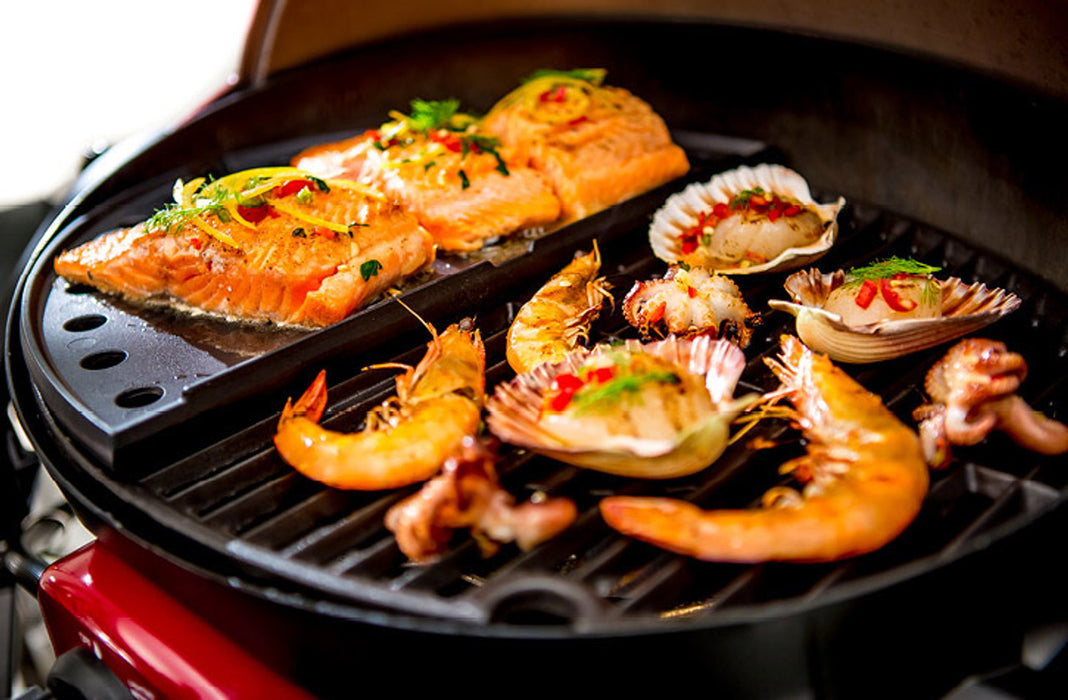 Ziggy / Ziegler & Brown Portable Grill Cast Iron Hotplate (Suits Single Burner)