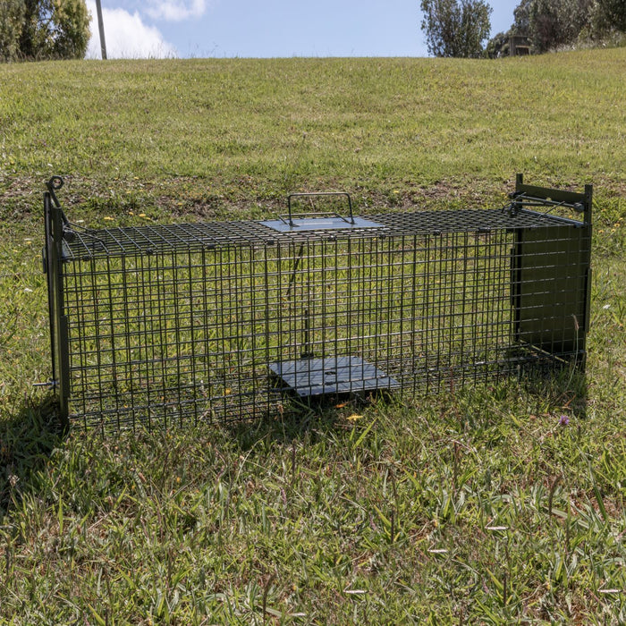 Trap Cage (73x17x20cm) rat ferret stoat and possum Trap