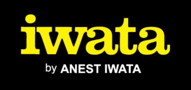 Iwata FLEXIBLE GUN HOSE & QR FITTINGS 1.2M FOR AIRFED mask