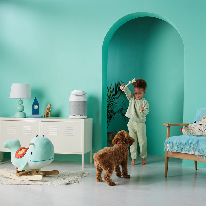 Sunbeam Fresh Protect Air Purifier