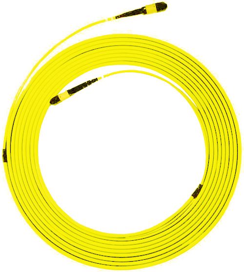 DYNAMIX 10M MPO APC ELITE Trunk Single-mode Fibre Cable