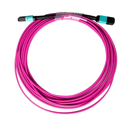 5M OM4 MPO ELITE Trunk Multimode Fibre Cable. POLARITY A Straight Through Cable