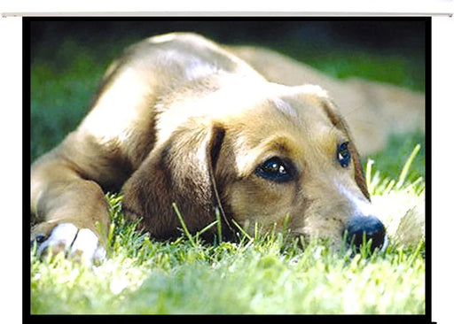 BRATECK 100'' Electric Projector Screen with Remote. Easy Clean Matte White Scre - LX2001 - Homewares, Outdoor, Phone Accessories, Cases, Speakers, Headphones + More -