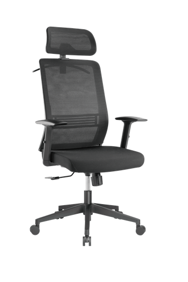 BRATECK Office Chair with Headrest. Ergonomic & Breathable Mesh Back. Pneumatic