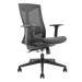 BRATECK Office Chair with Ergonomic & Breathable Mesh Back. Pneumatic Seat-Heigh - LX2001 - Homewares, Outdoor, Phone Accessories, Cases, Speakers, Headphones + More -
