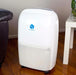 Ausclimate Medium Dehumidifier 20 Litre White WDH-716DE - LX2001 - Homewares, Outdoor, Phone Accessories, Cases, Speakers, Headphones + More -