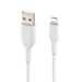 Belkin 2M Lightning to USB-A Cable - White CAA001BT2MWH 745883788675 - LX2001 - Homewares, Outdoor, Phone Accessories, Cases, Speakers, Headphones + More -