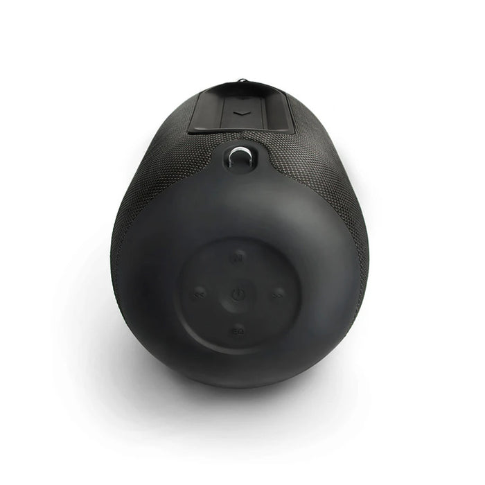 BlueAnt Burleigh 40W Portable Bluetooth Speaker - Black BURLEIGH-BK 878049003654