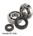 CRANKBEARING&SEALKIT HOTRODS HUSQVARNAFC250 350 FE250 350 FX350 KTM250 350SXF 250 350XCF 250 350EXCF - LX2001 - Homewares, Outdoor, Phone Accessories, Cases, Speakers, Headphones + More -